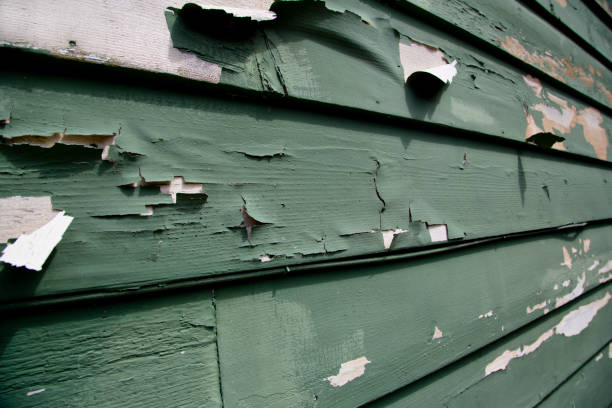 Best Shed Removal  in Atasdero, CA